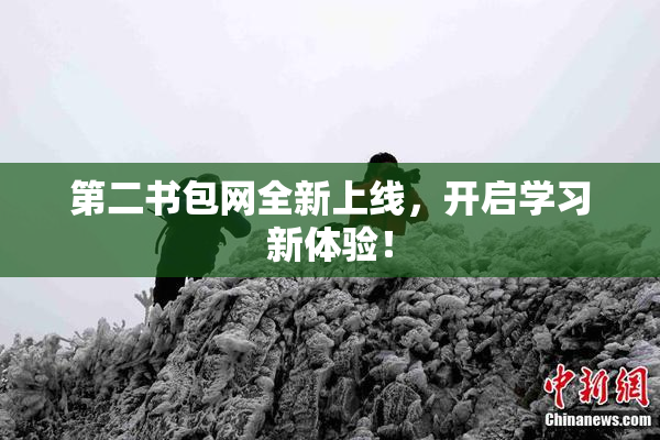 第二书包网全新上线，开启学习新体验！