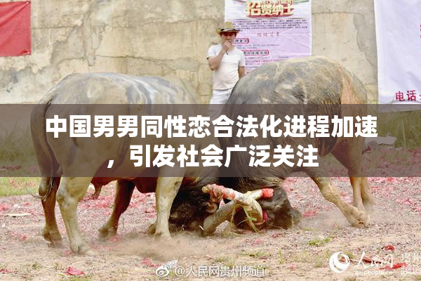 中国男男同性恋合法化进程加速，引发社会广泛关注
