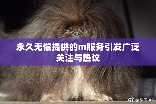 永久无偿提供的m服务引发广泛关注与热议