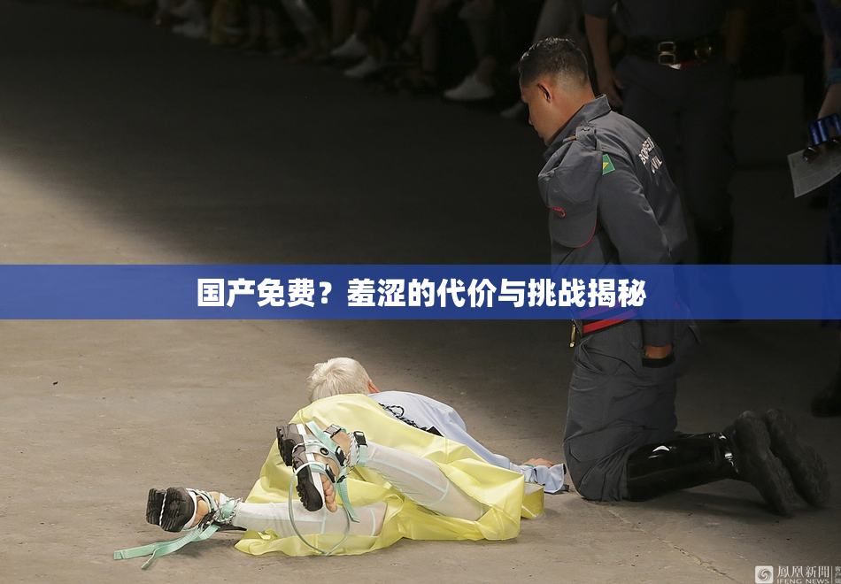 国产免费？羞涩的代价与挑战揭秘