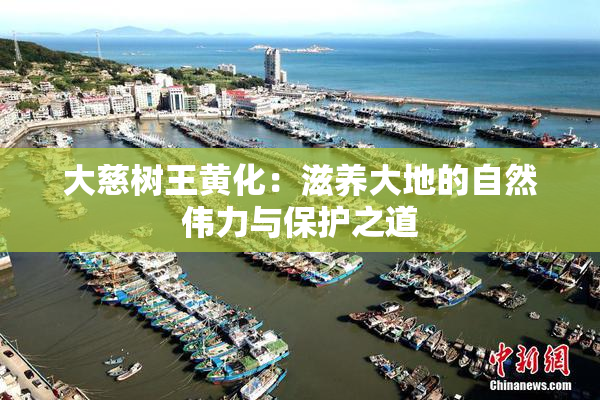 大慈树王黄化：滋养大地的自然伟力与保护之道