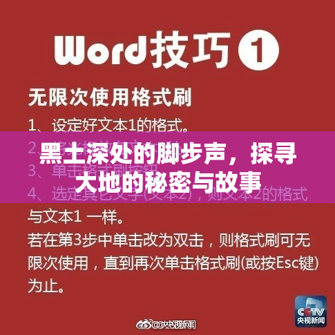 黑土深处的脚步声，探寻大地的秘密与故事