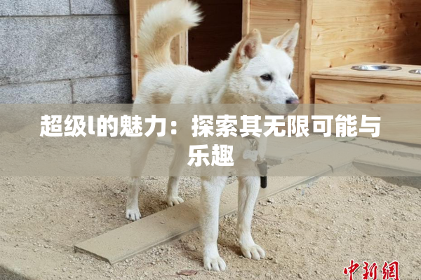 超级l的魅力：探索其无限可能与乐趣