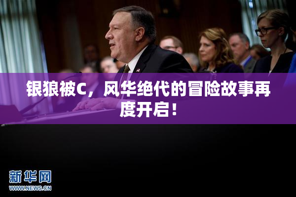 银狼被C，风华绝代的冒险故事再度开启！