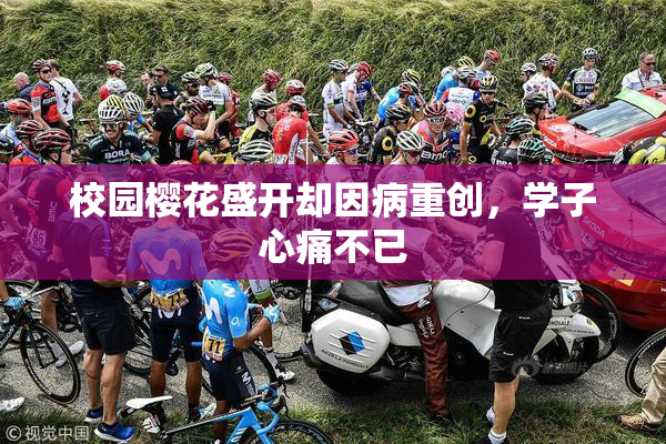 校园樱花盛开却因病重创，学子心痛不已