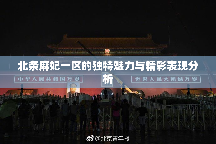 北条麻妃一区的独特魅力与精彩表现分析