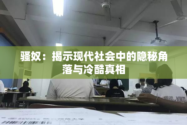 骚奴：揭示现代社会中的隐秘角落与冷酷真相
