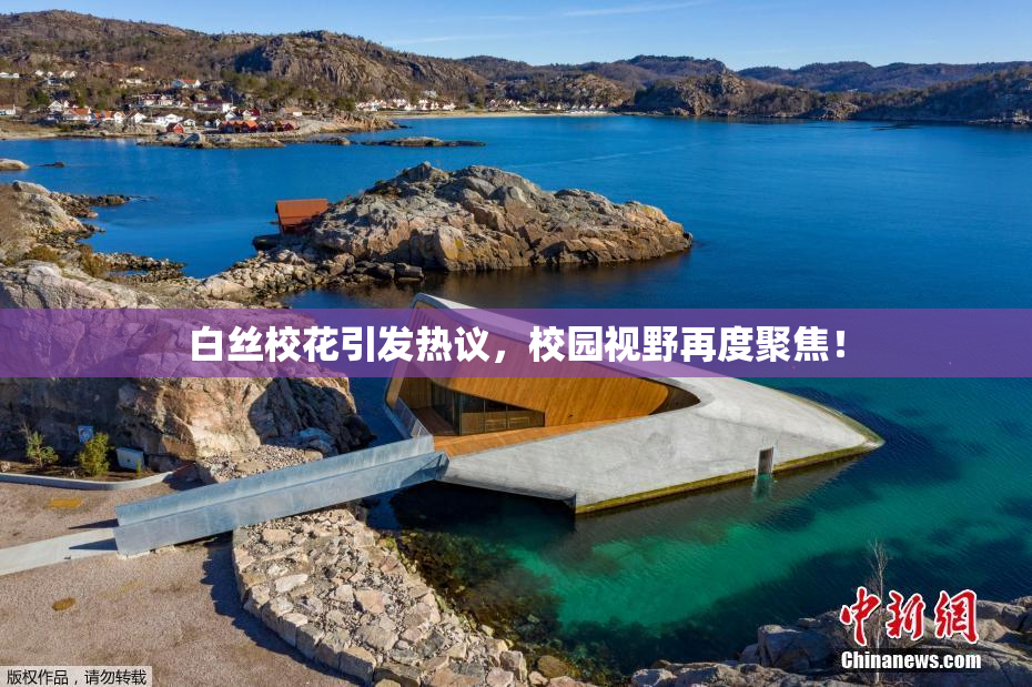 白丝校花引发热议，校园视野再度聚焦！