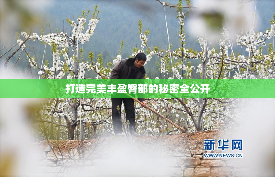 打造完美丰盈臀部的秘密全公开
