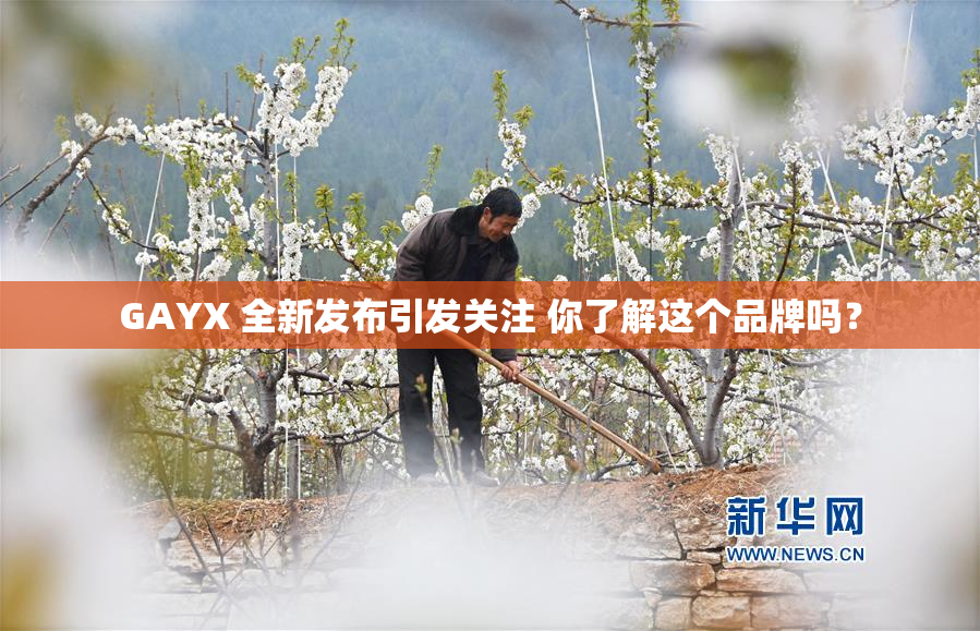GAYX 全新发布引发关注 你了解这个品牌吗？