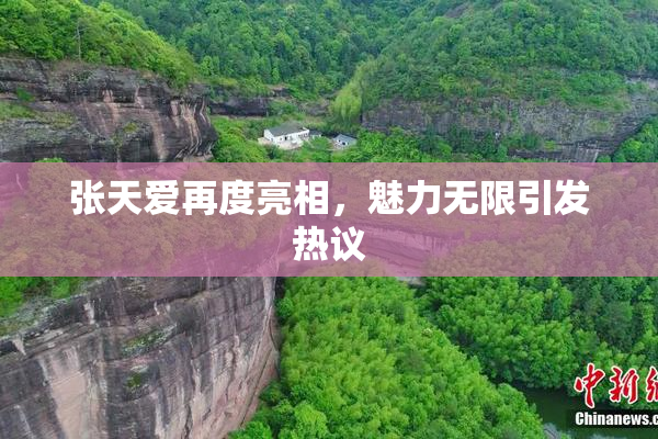 张天爱再度亮相，魅力无限引发热议