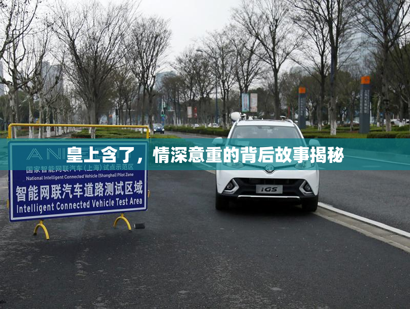 皇上含了，情深意重的背后故事揭秘