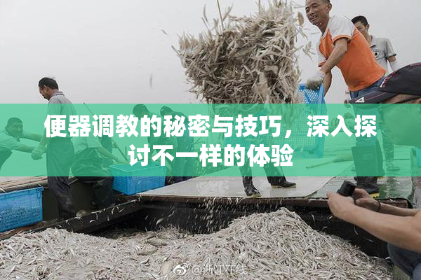 便器调教的秘密与技巧，深入探讨不一样的体验