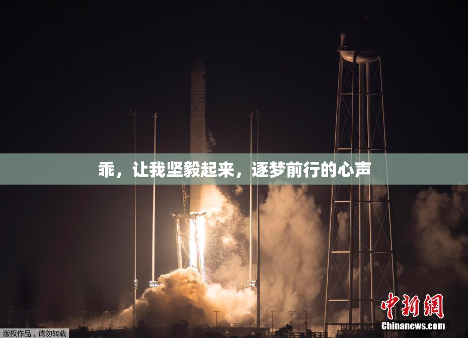 乖，让我坚毅起来，逐梦前行的心声