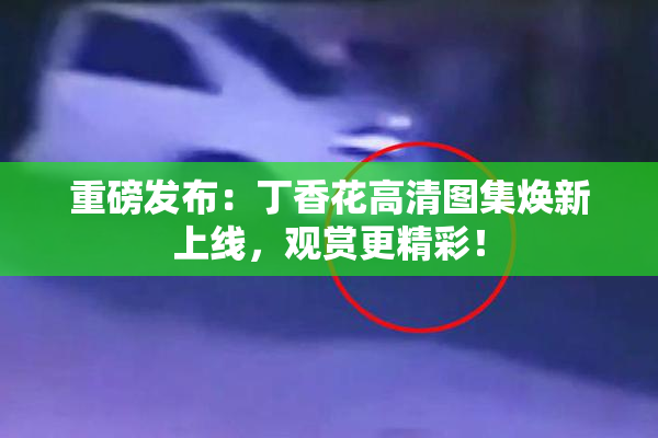 重磅发布：丁香花高清图集焕新上线，观赏更精彩！