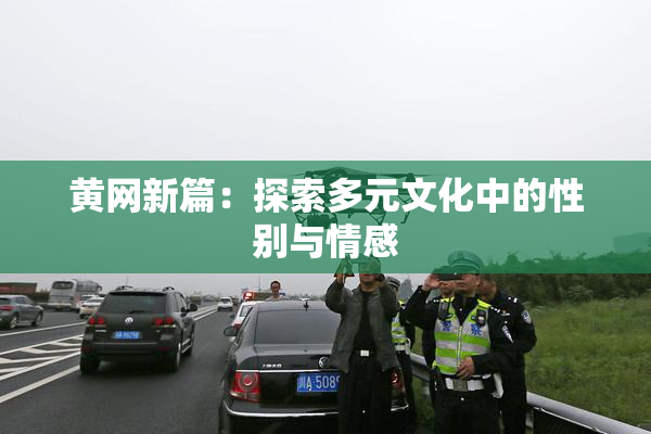 黄网新篇：探索多元文化中的性别与情感