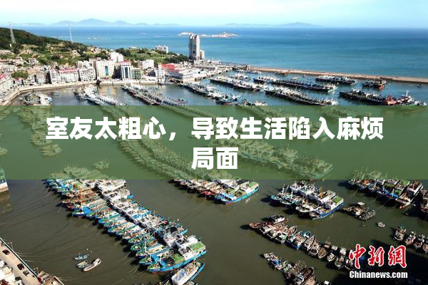 室友太粗心，导致生活陷入麻烦局面