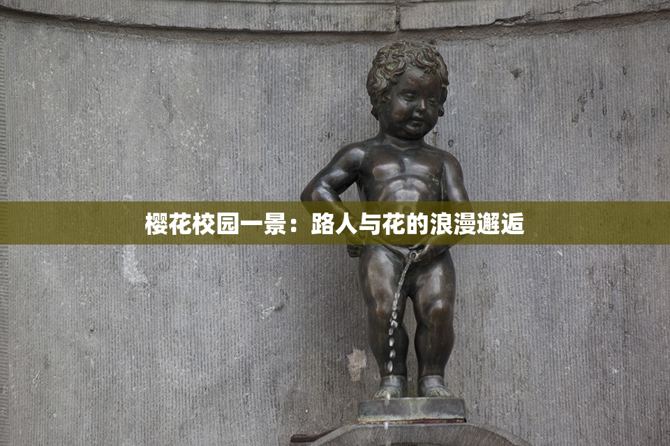 樱花校园一景：路人与花的浪漫邂逅