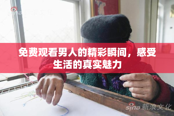 免费观看男人的精彩瞬间，感受生活的真实魅力