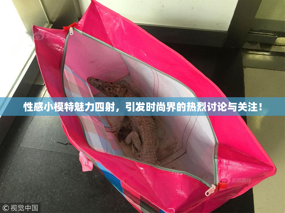 性感小模特魅力四射，引发时尚界的热烈讨论与关注！