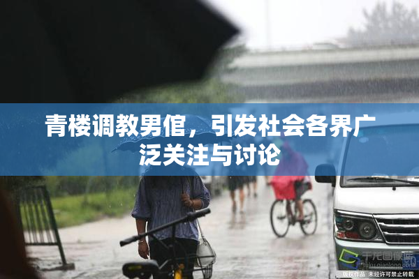 青楼调教男倌，引发社会各界广泛关注与讨论