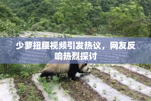少萝扭腰视频引发热议，网友反响热烈探讨