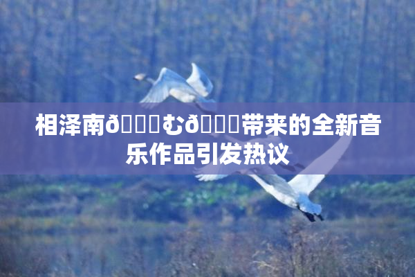 相泽南😚む🍍带来的全新音乐作品引发热议