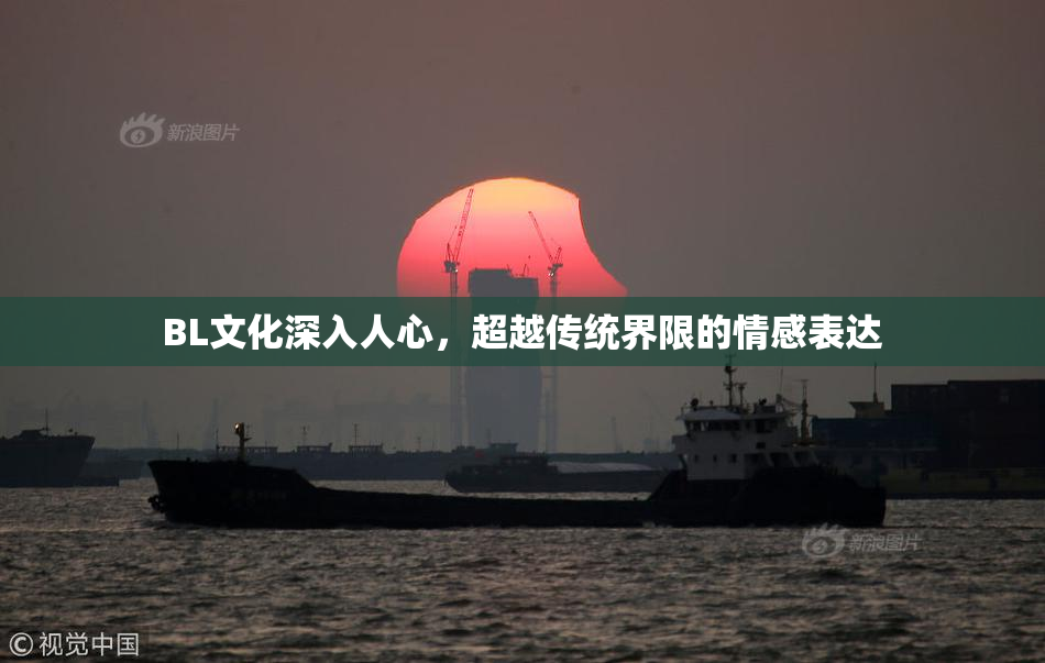 BL文化深入人心，超越传统界限的情感表达