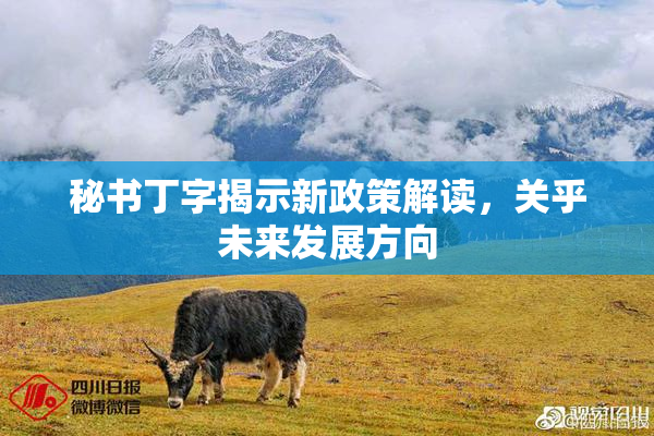 秘书丁字揭示新政策解读，关乎未来发展方向