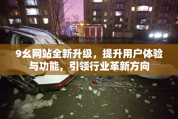 9幺网站全新升级，提升用户体验与功能，引领行业革新方向