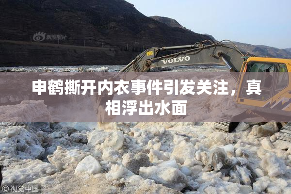 申鹤撕开内衣事件引发关注，真相浮出水面