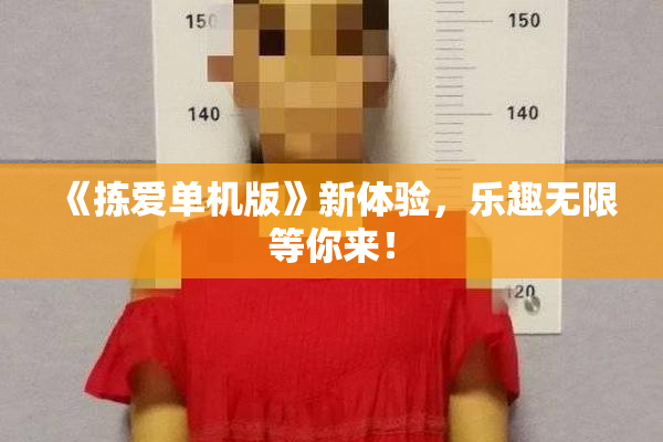 《拣爱单机版》新体验，乐趣无限等你来！