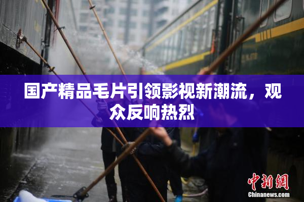 国产精品毛片引领影视新潮流，观众反响热烈