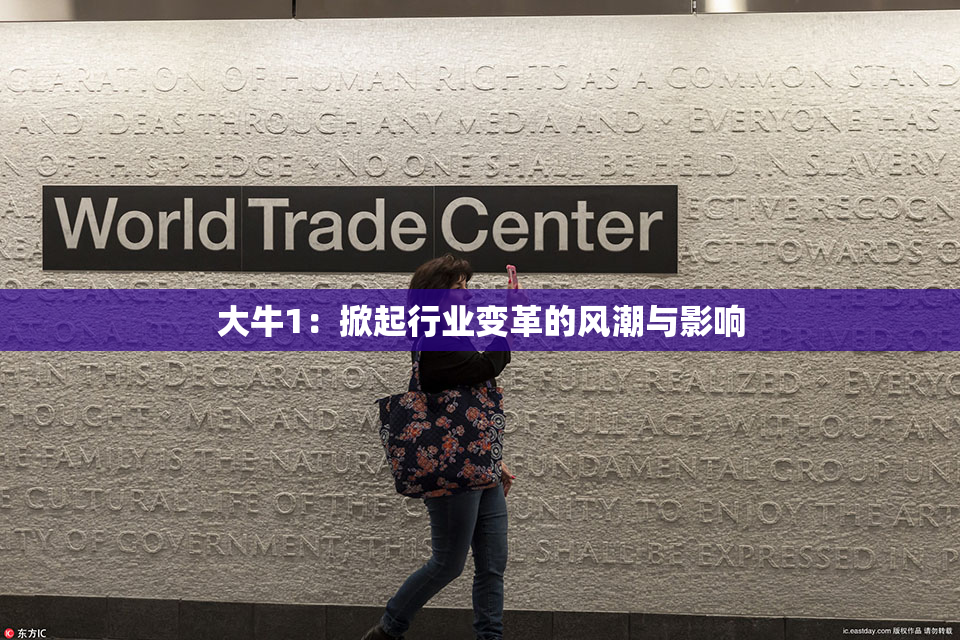 大牛1：掀起行业变革的风潮与影响