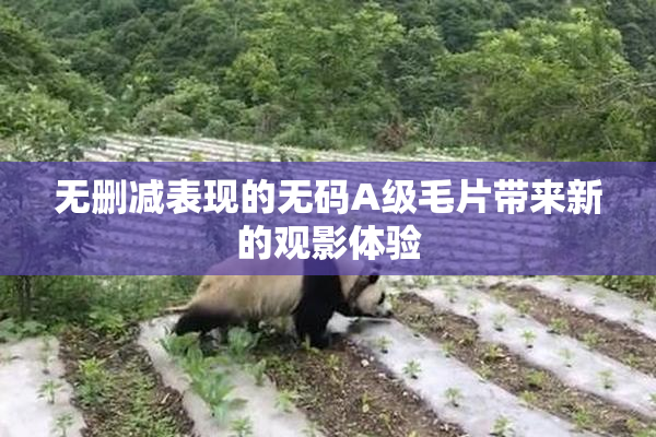无删减表现的无码A级毛片带来新的观影体验