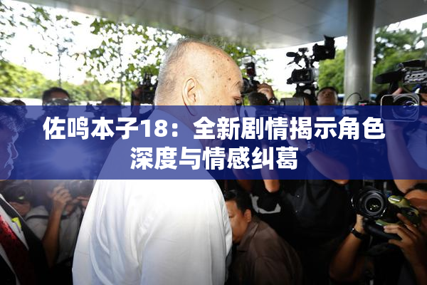 佐鸣本子18：全新剧情揭示角色深度与情感纠葛