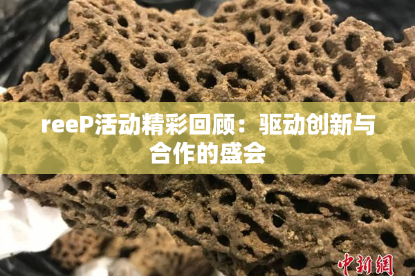 reeP活动精彩回顾：驱动创新与合作的盛会