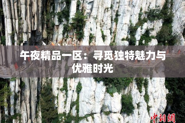 午夜精品一区：寻觅独特魅力与优雅时光