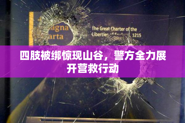 四肢被绑惊现山谷，警方全力展开营救行动