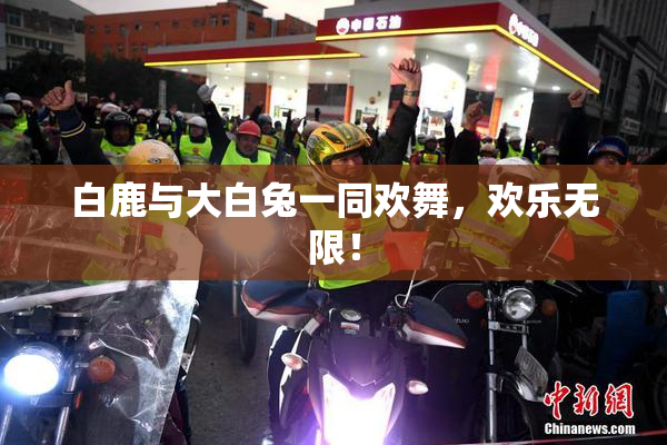 白鹿与大白兔一同欢舞，欢乐无限！