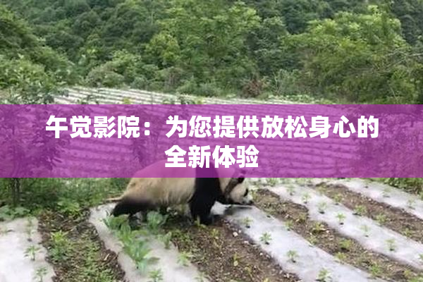 午觉影院：为您提供放松身心的全新体验