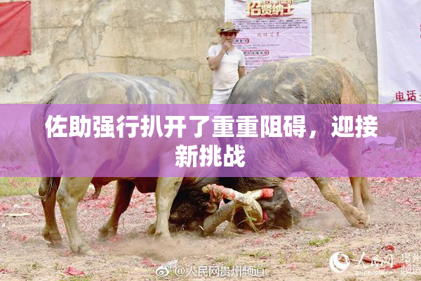 佐助强行扒开了重重阻碍，迎接新挑战