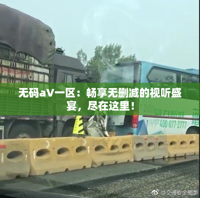 无码aV一区：畅享无删减的视听盛宴，尽在这里！