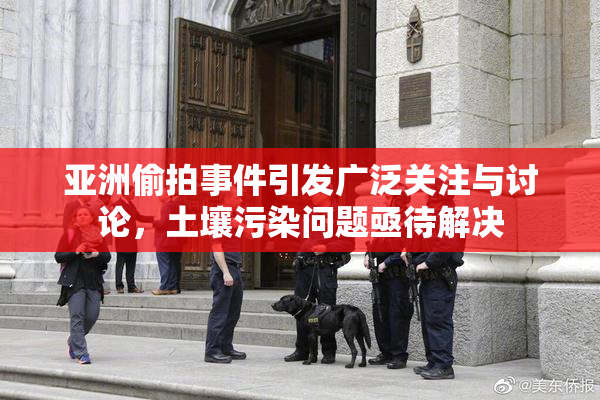亚洲偷拍事件引发广泛关注与讨论，土壤污染问题亟待解决