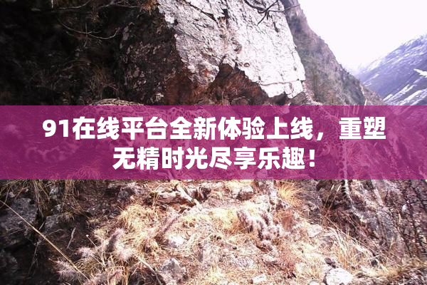 91在线平台全新体验上线，重塑无精时光尽享乐趣！