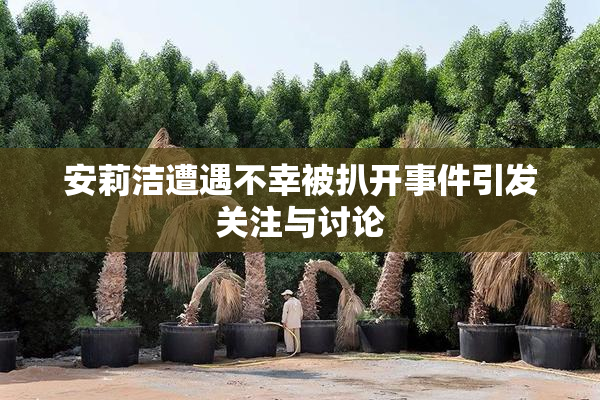 安莉洁遭遇不幸被扒开事件引发关注与讨论