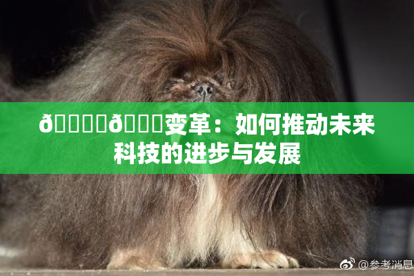 🔞‌🍌变革：如何推动未来科技的进步与发展