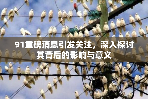 91重磅消息引发关注，深入探讨其背后的影响与意义