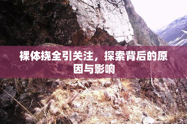 裸体挠全引关注，探索背后的原因与影响