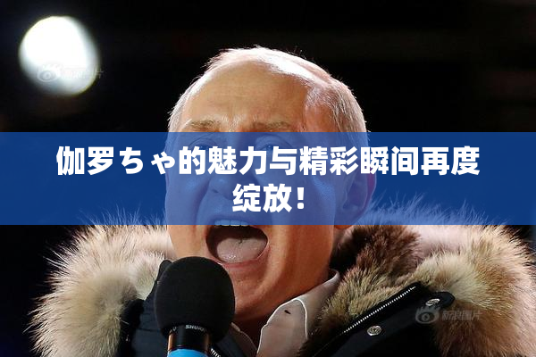 伽罗ちゃ的魅力与精彩瞬间再度绽放！